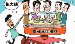 黑龙江大学爆料事件最新,真相与反思并行