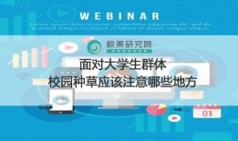 校园视频爆料文案怎么写,揭秘校园生活瞬间